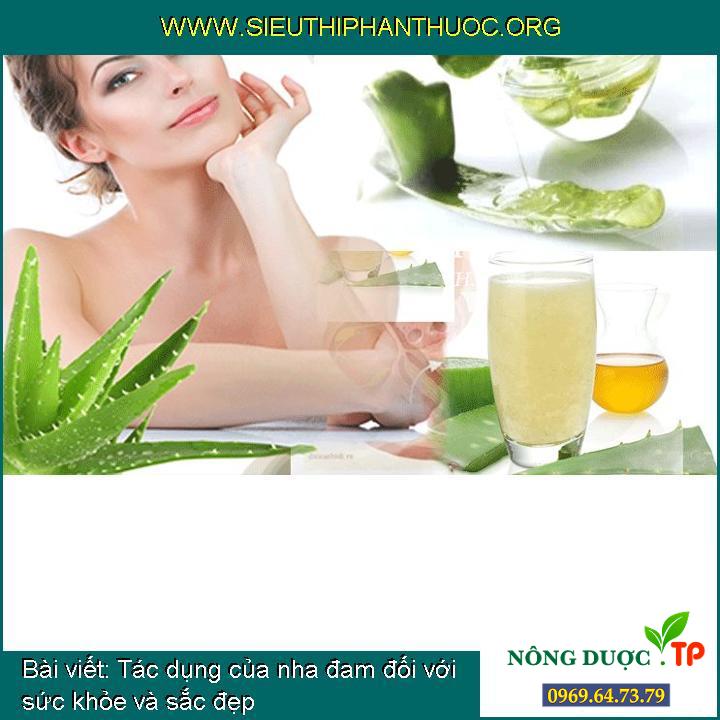 Tác dụng của nha đam đối với sức khỏe và sắc đẹp