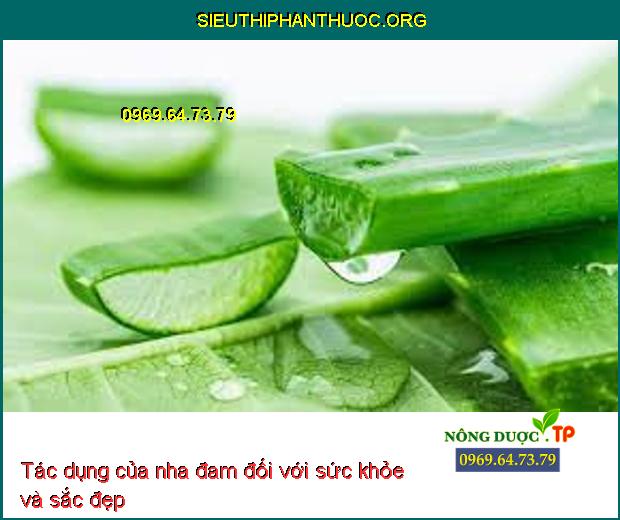 Tác dụng của nha đam đối với sức khỏe và sắc đẹp