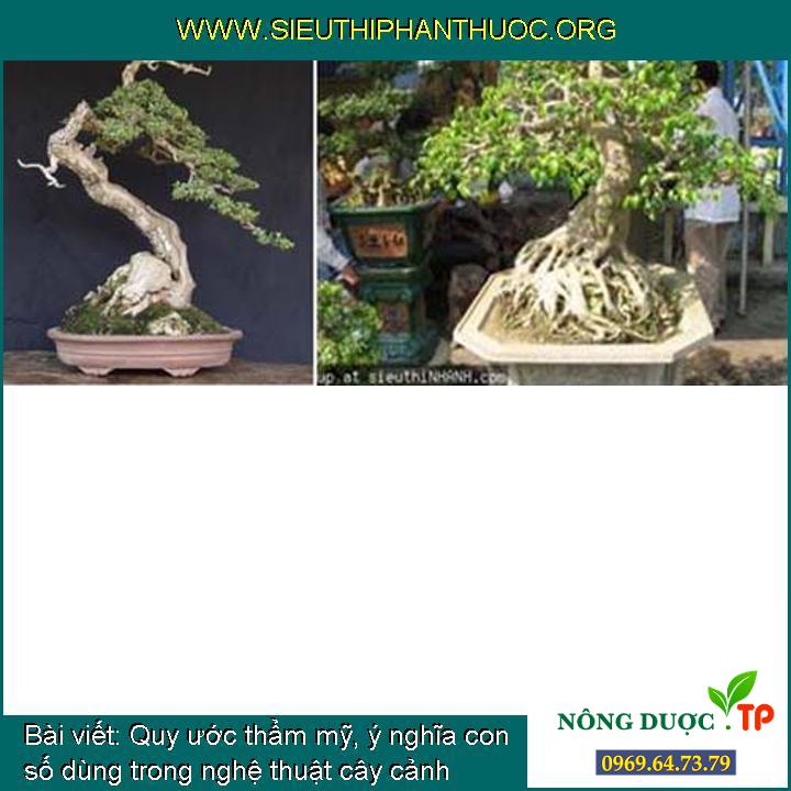 Quy ước thẩm mỹ, ý nghĩa con số sử dụng trong nghệ thuật cây cảnh (bonsai)