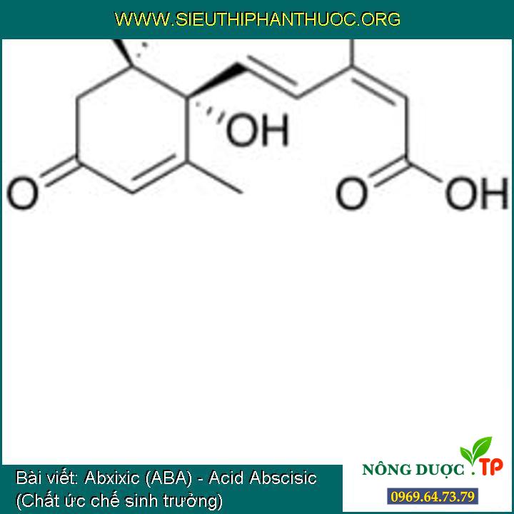 Cùng tìm hiểu về Abxixic (ABA) – Acid Abscisic (Chất ức chế sinh trưởng)