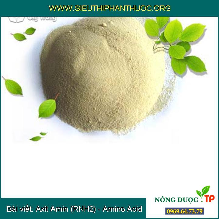 Cùng tìm hiểu về Axit Amin (RNH2) – Amino Acid