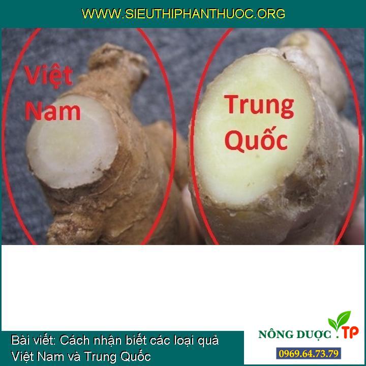 Phương pháp nhận biết một số loại trái cây Việt Nam và Trung Quốc