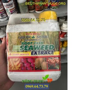 root plex seaweed extract