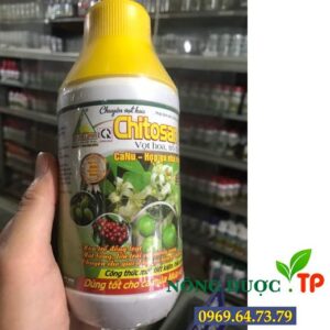 Chitosan CaNu - phân bón dịnh dưỡng cao cấp chuyên vọt hoa, trỗ đồng loạt