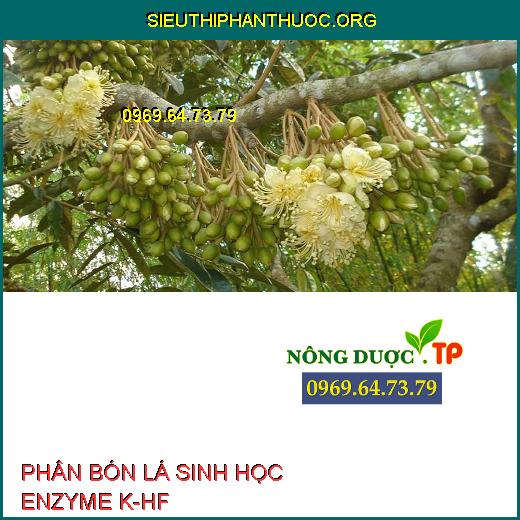 PHÂN BÓN LÁ SINH HỌC ENZYME K-HF