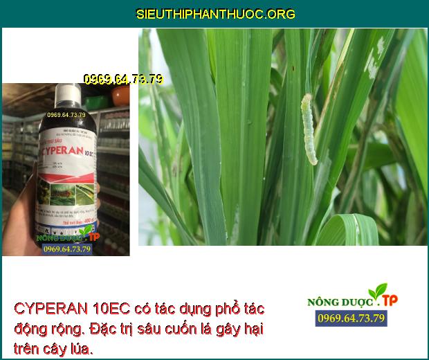 CYPERAN 10EC có tác dụng phổ tác động rộng. Đặc trị sâu cuốn lá gây hại trên cây lúa.