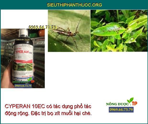 CYPERAN 10EC có tác dụng phổ tác động rộng. Đặc trị bọ xít muỗi hại chè.