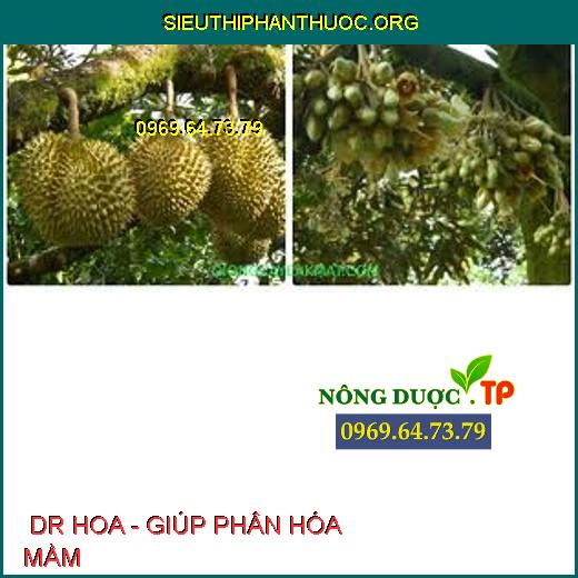  DR HOA - GIÚP PHÂN HÓA MẦM