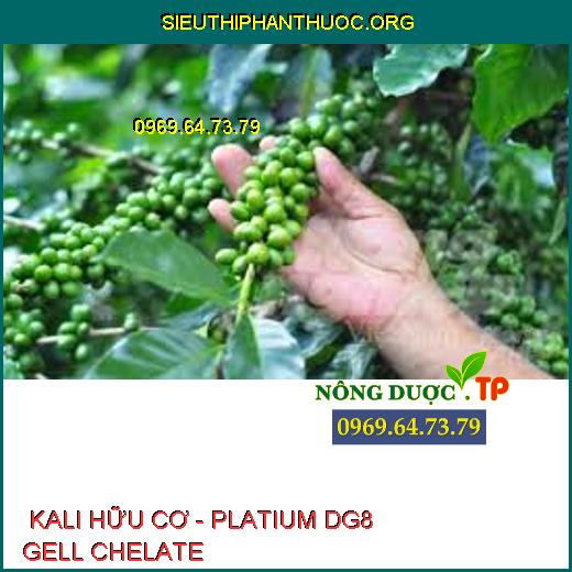  KALI HỮU CƠ - PLATIUM DG8 GELL CHELATE 