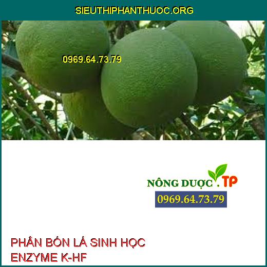 PHÂN BÓN LÁ SINH HỌC ENZYME K-HF