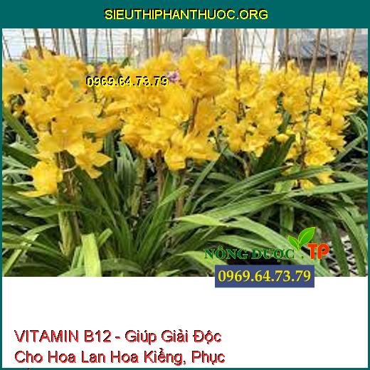 VITAMIN B12 - Giúp Giải Độc Cho Hoa Lan Hoa Kiểng, Phục Hồi Cây