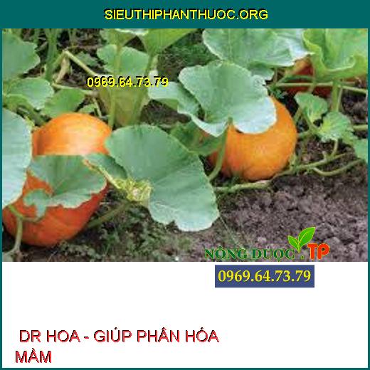  DR HOA - GIÚP PHÂN HÓA MẦM