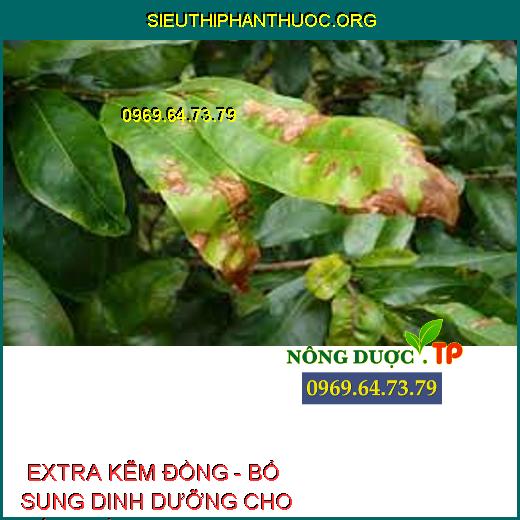  EXTRA KẼM ĐỒNG - BỔ SUNG DINH DƯỠNG CHO CÂY TRỒNG