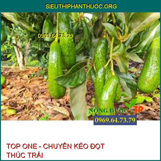 TOP ONE - CHUYÊN KÉO ĐỌT THÚC TRÁI