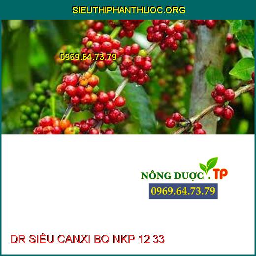 DR SIÊU CANXI BO NKP 12 33