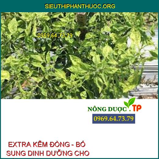  EXTRA KẼM ĐỒNG - BỔ SUNG DINH DƯỠNG CHO CÂY TRỒNG