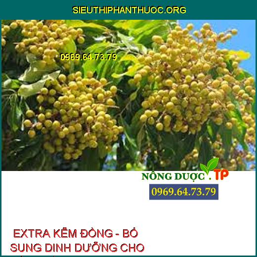  EXTRA KẼM ĐỒNG - BỔ SUNG DINH DƯỠNG CHO CÂY TRỒNG