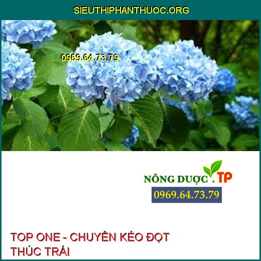 TOP ONE - CHUYÊN KÉO ĐỌT THÚC TRÁI