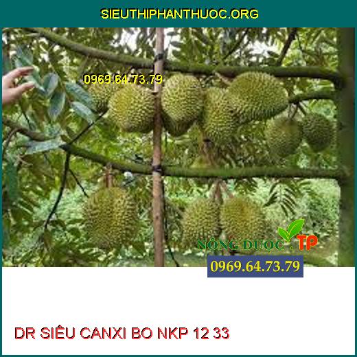 DR SIÊU CANXI BO NKP 12 33