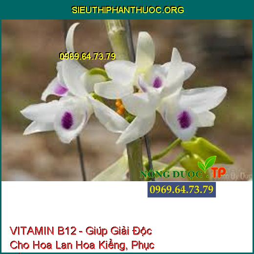 VITAMIN B12 - Giúp Giải Độc Cho Hoa Lan Hoa Kiểng, Phục Hồi Cây