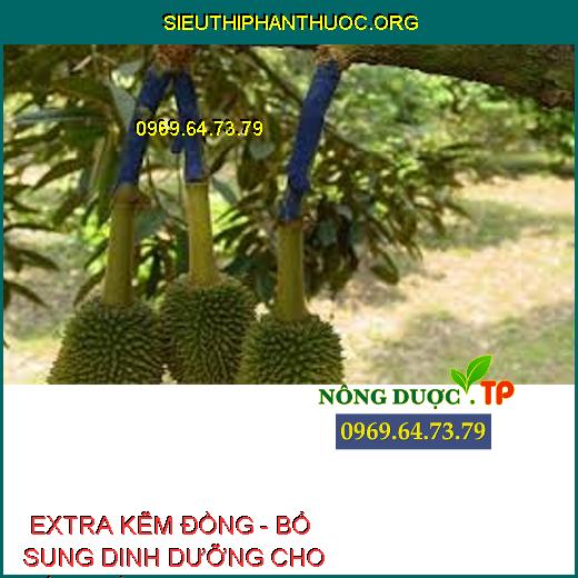  EXTRA KẼM ĐỒNG - BỔ SUNG DINH DƯỠNG CHO CÂY TRỒNG