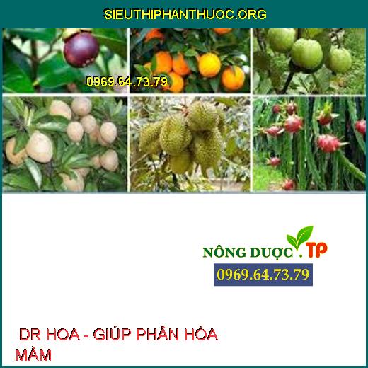  DR HOA - GIÚP PHÂN HÓA MẦM