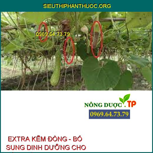  EXTRA KẼM ĐỒNG - BỔ SUNG DINH DƯỠNG CHO CÂY TRỒNG