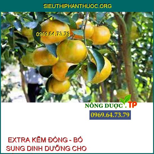  EXTRA KẼM ĐỒNG - BỔ SUNG DINH DƯỠNG CHO CÂY TRỒNG