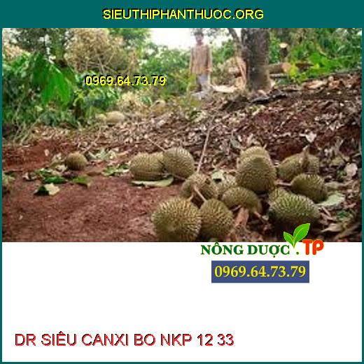 DR SIÊU CANXI BO NKP 12 33