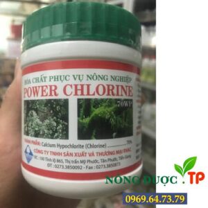 Hóa chất phục vụ nông nghiệp POWER CHLORINE - Tẩy Rong Rêu - Mảng Bám
