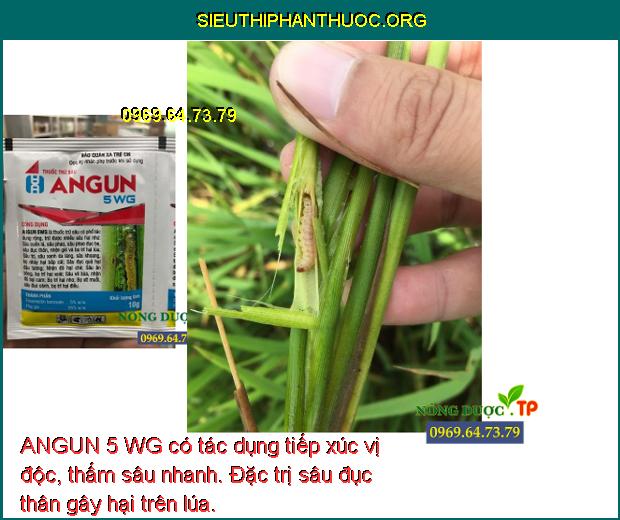 ANGUN 5 WG – ĐẶC TRỊ SÂU CUỐN LÁ , NHỆN, BỌ TRĨ BỌ XÍT HẠI CÂY TRỒNG ...