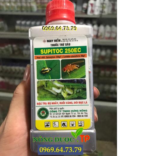 THUỐC TRỪ SÂU SUPITOC 250EC - ĐẶC TRỊ BỌ NHẢY, RUỒI VÀNG, DÒI ĐỤC LÁ