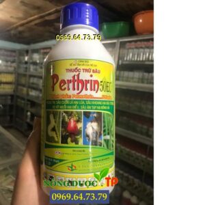 THUỐC TRỪ SÂU PERTHRIN 50EC- ĐẶC TRỊ CÁC LOẠI SÂU, BỌ XÍT MUỖI HẠI CÂY TRỒNG