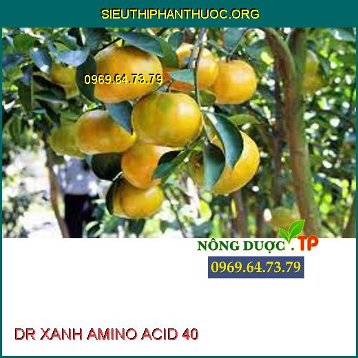 DR XANH AMINO ACID 40 