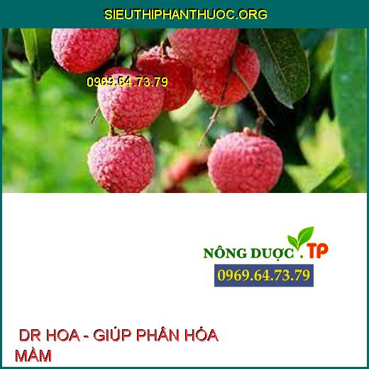  DR HOA - GIÚP PHÂN HÓA MẦM