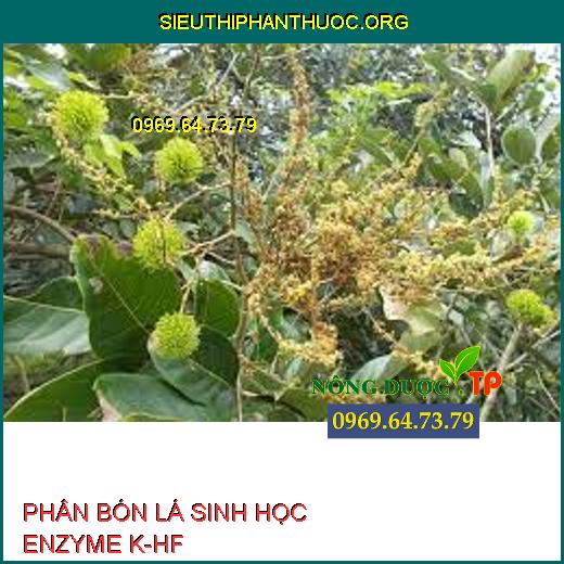 PHÂN BÓN LÁ SINH HỌC ENZYME K-HF