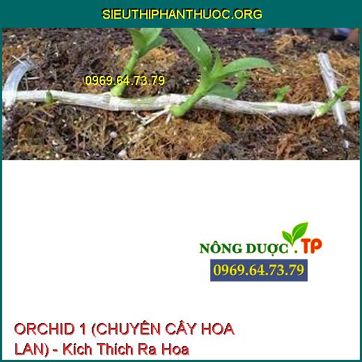 ORCHID 1 - (CHUYÊN DÙNG HOA LAN) Ra Rễ Cực Mạnh