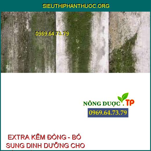  EXTRA KẼM ĐỒNG - BỔ SUNG DINH DƯỠNG CHO CÂY TRỒNG