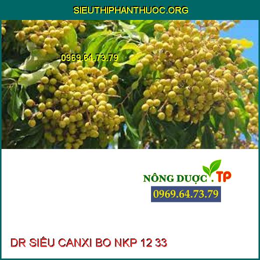 DR SIÊU CANXI BO NKP 12 33