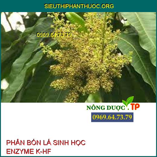 PHÂN BÓN LÁ SINH HỌC ENZYME K-HF