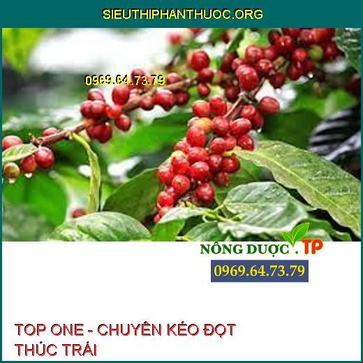 TOP ONE - CHUYÊN KÉO ĐỌT THÚC TRÁI