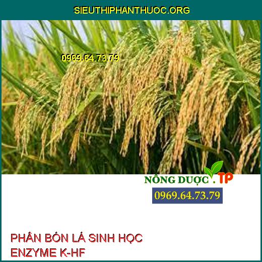 PHÂN BÓN LÁ SINH HỌC ENZYME K-HF