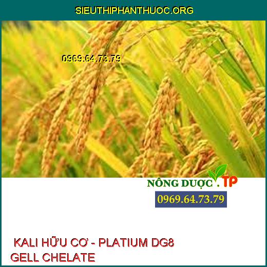  KALI HỮU CƠ - PLATIUM DG8 GELL CHELATE 