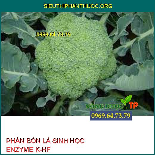 PHÂN BÓN LÁ SINH HỌC ENZYME K-HF