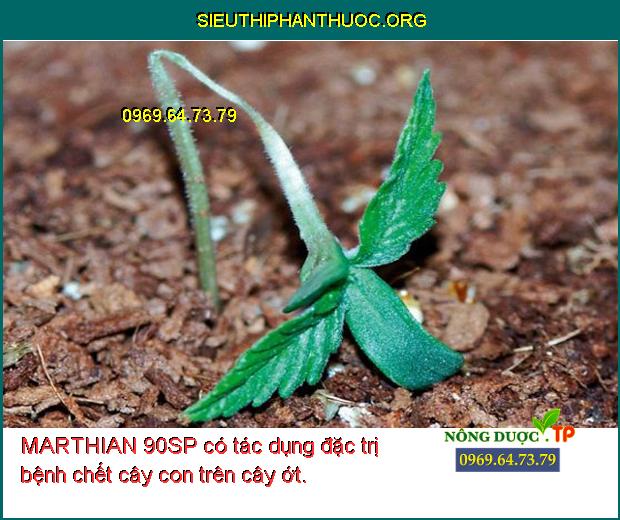 MARTHIAN 90SP có tác dụng đặc trị bệnh chết cây con trên cây ớt.