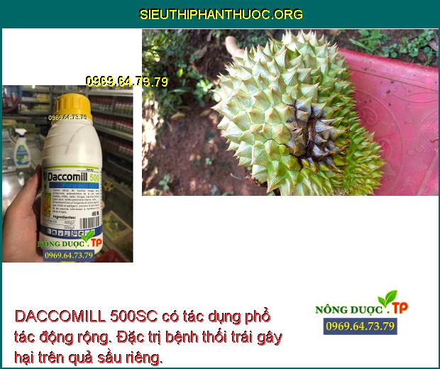 DACCOMILL 500SC có tác dụng phổ tác động rộng. Đặc trị bệnh thối trái gây hại trên quả sầu riêng.