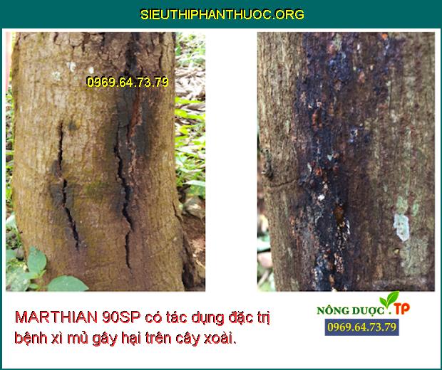 MARTHIAN 90SP có tác dụng đặc trị bệnh xì mủ gây hại trên cây xoài.