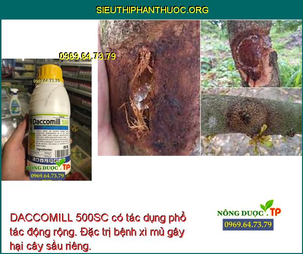 DACCOMILL 500SC có tác dụng phổ tác động rộng. Đặc trị bệnh xì mủ gây hại cây sầu riêng.