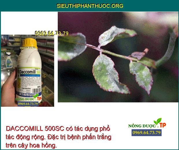 DACCOMILL 500SC có tác dụng phổ tác động rộng. Đặc trị bệnh phấn trắng trên cây hoa hồng.