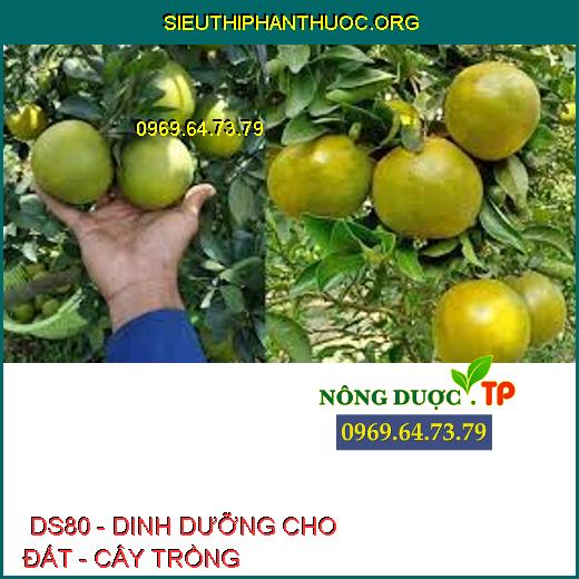  DS80 - DINH DƯỠNG CHO ĐẤT - CÂY TRỒNG